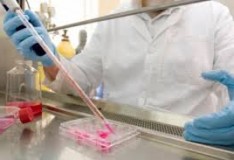 Scienziati iraniani trovano il modo di aumentare la vita delle cellule staminali!