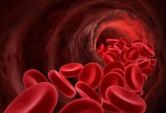 Sangue artificiale dalle staminali