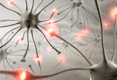 Cellule staminali inalate promettono di sostituire i neuroni perduti.