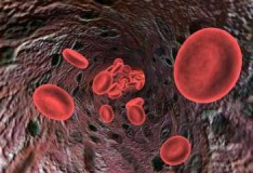 La Mayo Clinic ha sviluppato un nuovo strumento per il trapianto delle cellule staminali!