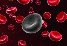 Staminali: Nuovo metodo per trattare la leucemia!