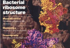 Staminali: La rivista Nature boccia il metodo Stamina!
