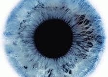 Staminali: Passi avanti nella riparazione dei tessuti della retina.