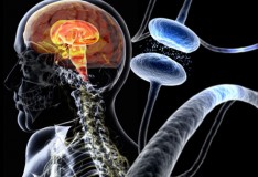 Staminali: Promettente trattamento per il Parkinson!