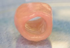 Staminali: Crescere della cartilagine dentro un corpo!