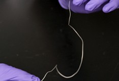 Suture integrate con cellule staminali per riparare il tendine d’Achille!