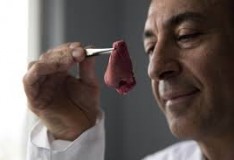 Staminali: Crescere organi umani da trapiantare!