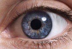 Staminali: Fase clinica per il trattamento della vista!