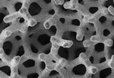 Staminali: Riuscire a creare tessuto osseo dalle cellule staminali del paziente!