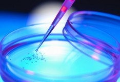 Caso Stamina, cure a prescindere da liste di attesa
