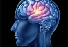 Staminali, il ‘pronto soccorso’ del cervello